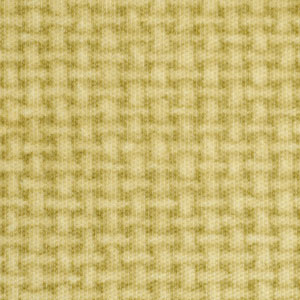 Panvelle Stretch Eva Fern