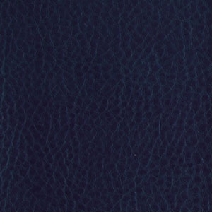 Vinyl Brookland Navy