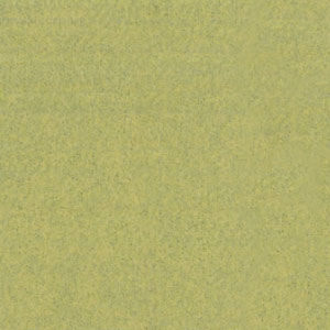 Vinyl Enduratex Prairie Duststorm